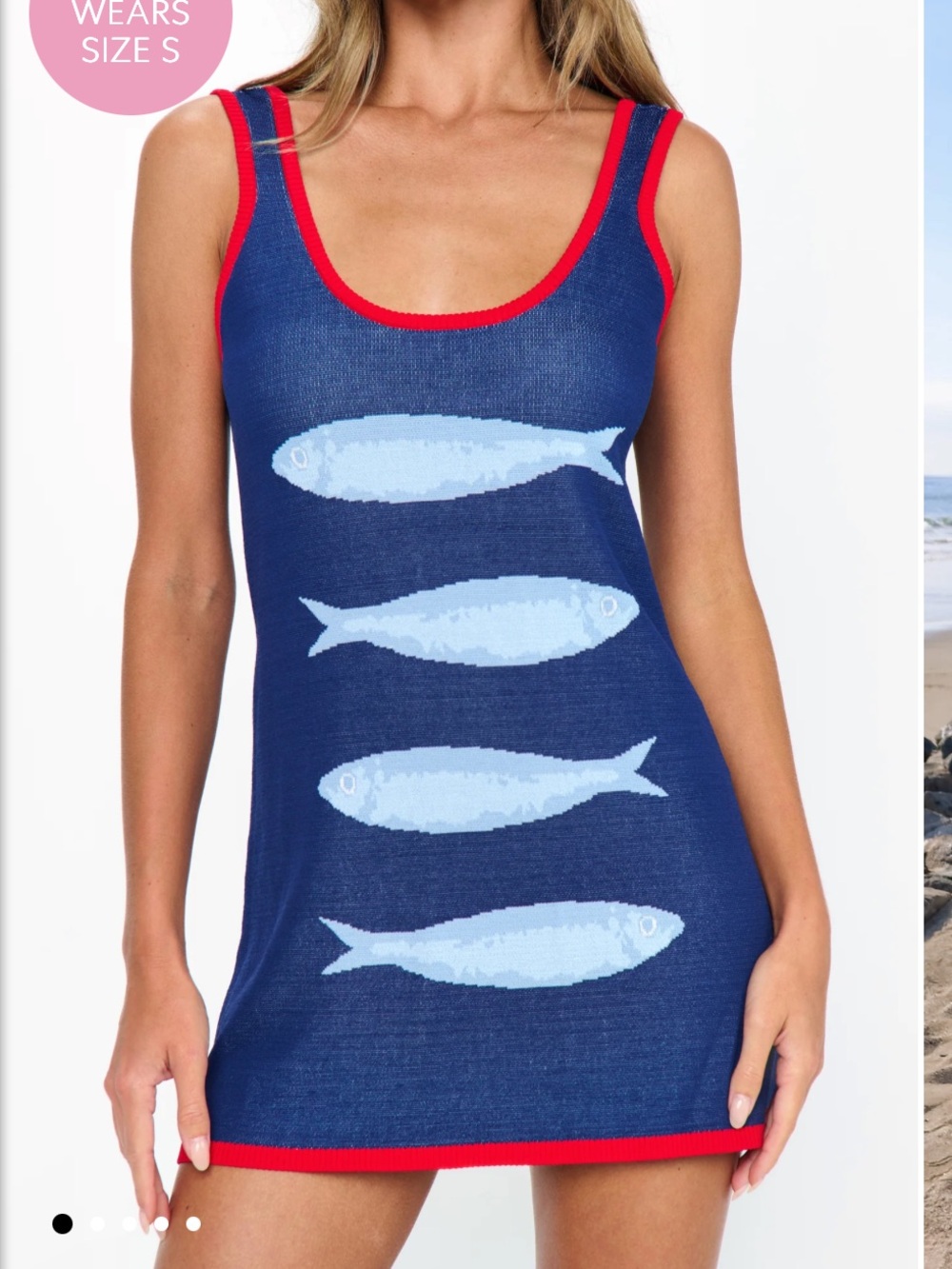 Blue Fish Tank Dress with Red Trim